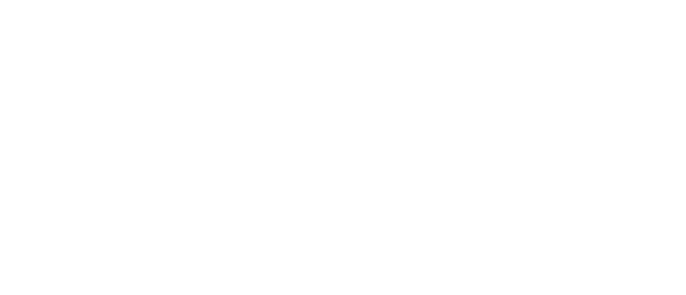 brommarecords.info Logotyp